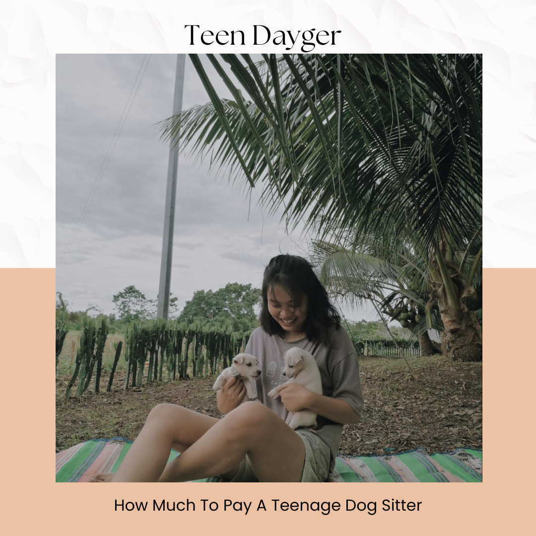 How Much To Pay A Teenage Dog Sitter